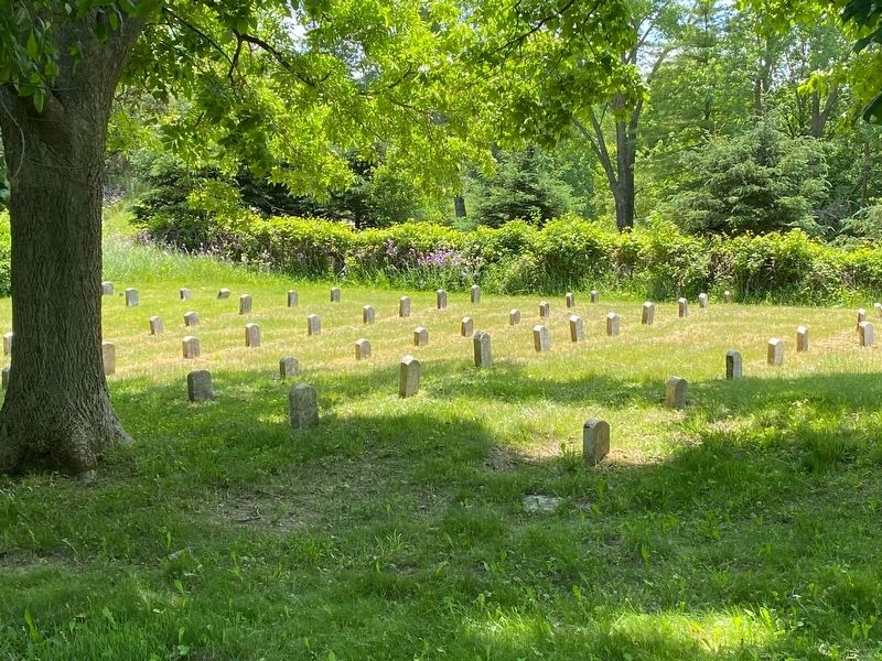 Ingham County Home Cemetery image. Click for full size.
