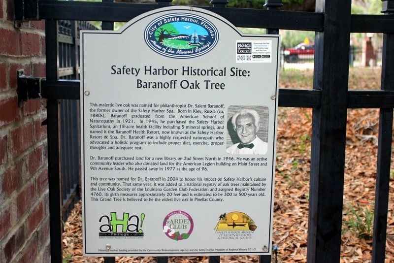 Safety Harbor Historical Site: Baranoff Oak Tree Marker image. Click for full size.