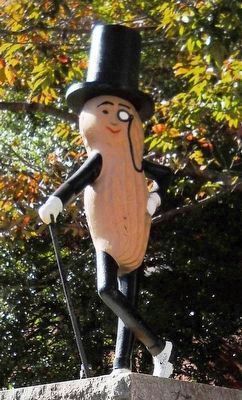 Mr. Peanut statue in downtown Suffolk image. Click for full size.