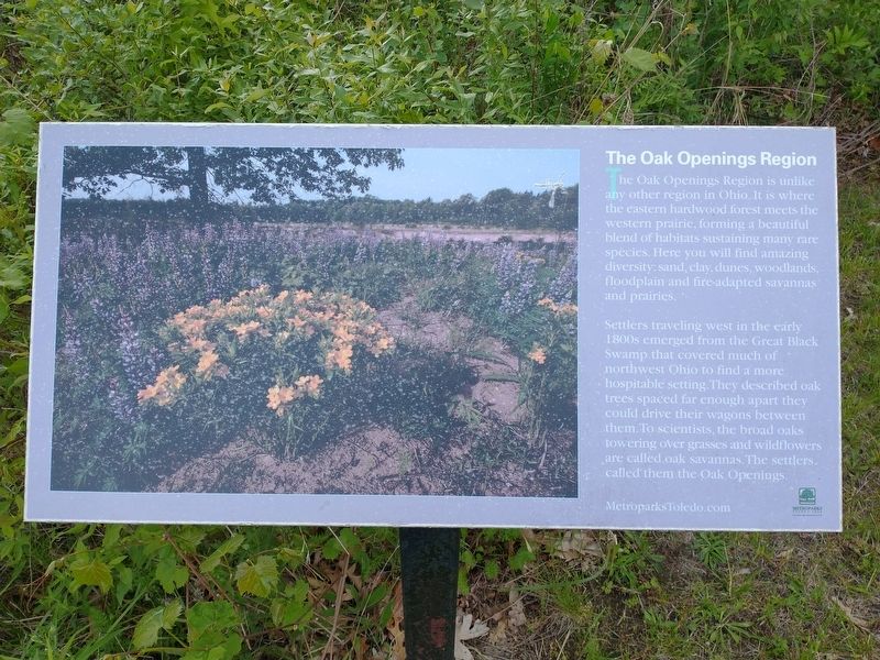 The Oag Openings Region Marker. Click for full size. The Oag Openings Region Marker image. Click for full size.