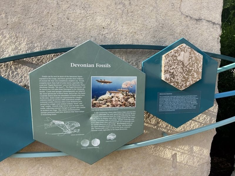 Devonian Fossils Marker image. Click for full size.