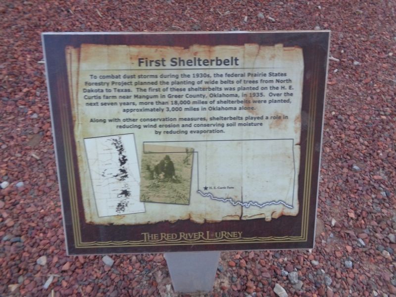 First Shelterbelt Marker image. Click for full size.