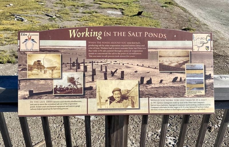 Working in the Salt Ponds Marker image. Click for full size.