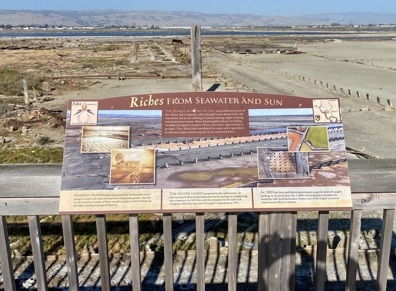 Riches from Seawater and Sun Marker image. Click for full size.