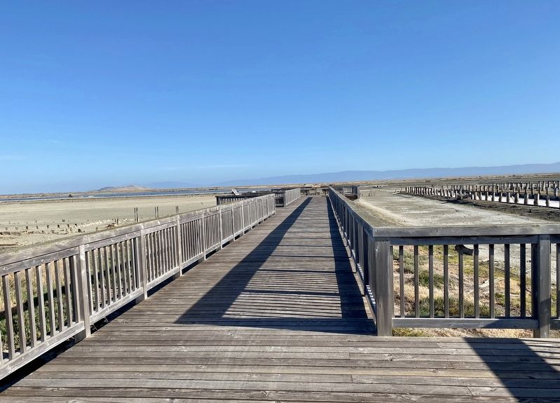 Riches from Seawater and Sun Marker - wider view of viewing platform, with marker on left side image. Click for full size.