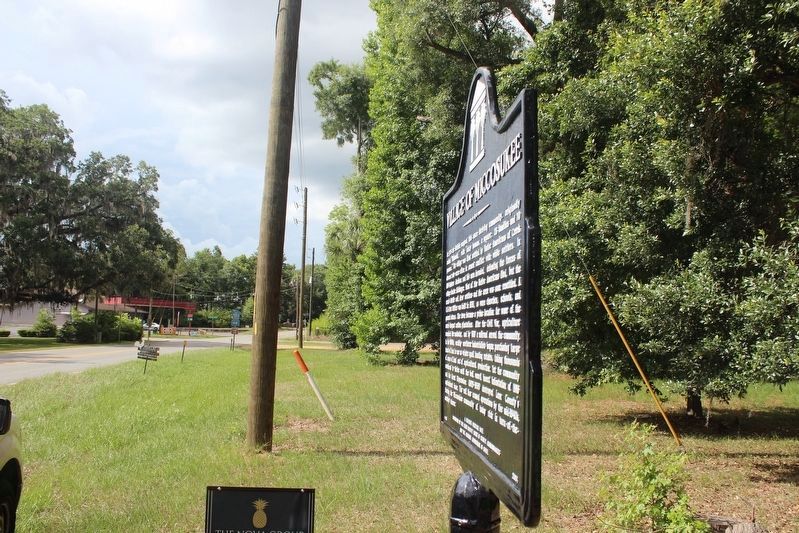 Village of Miccosukee Marker looking north toward CR 151 image. Click for full size.
