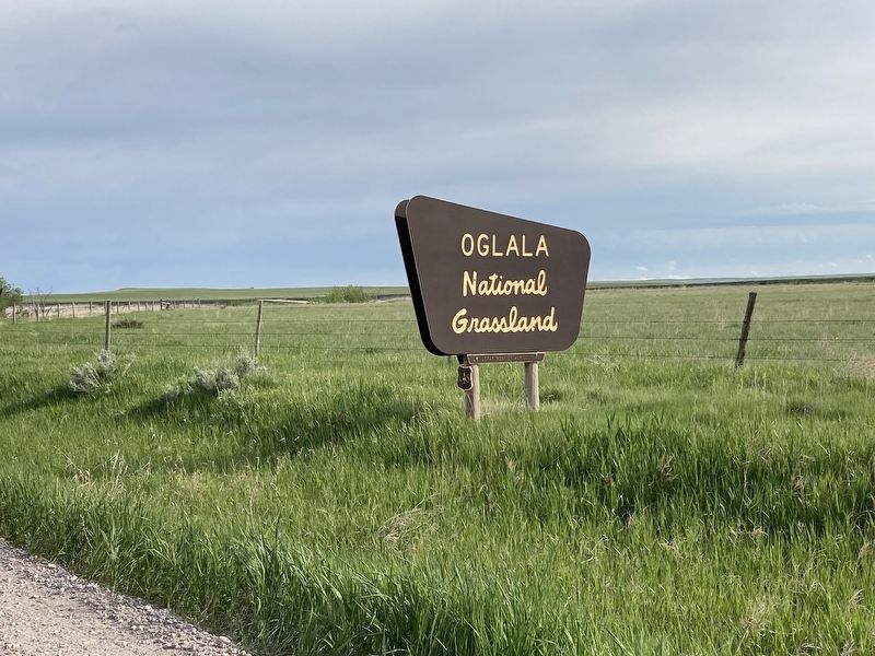 Oglala National Grassland image. Click for full size.