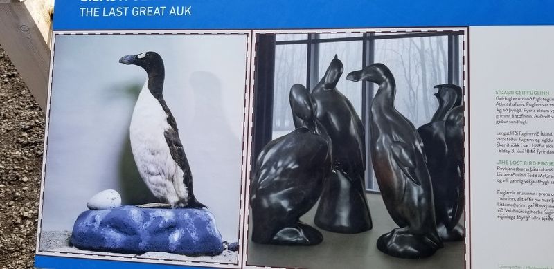 The Last Great Auk Marker image. Click for full size.