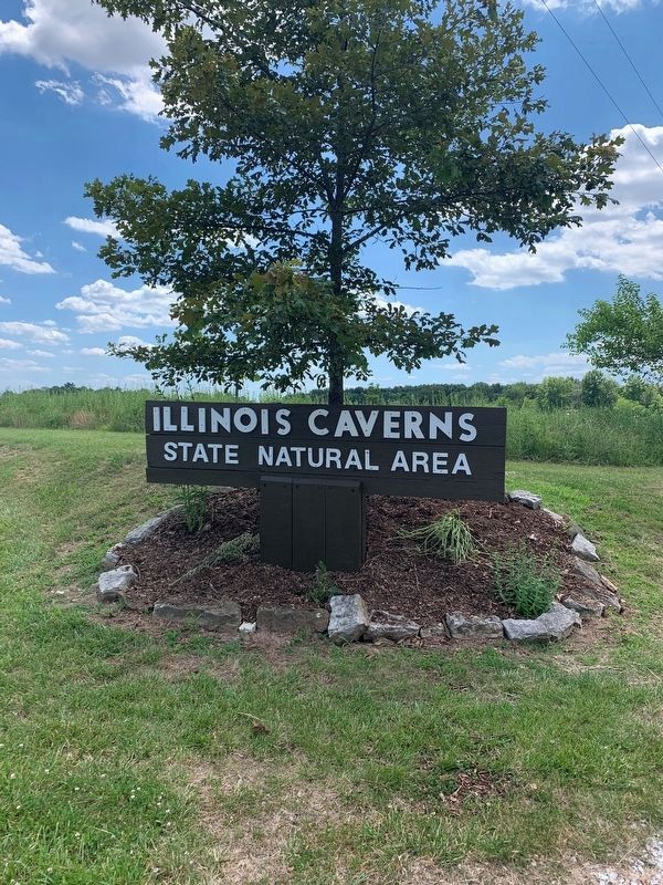 Entrance sign to Illinois Caverns State Natural Area. Click for full size. Entrance sign to Illinois Caverns State Natural Area image. Click for full size.