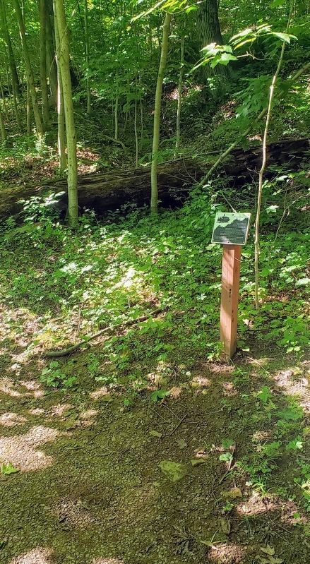 Wagon Road Marker image. Click for full size.