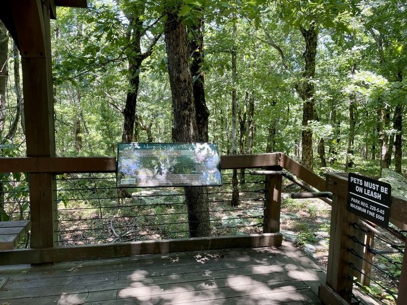 Marker located near beginning of the Bald Rock boardwalk. image. Click for full size.
