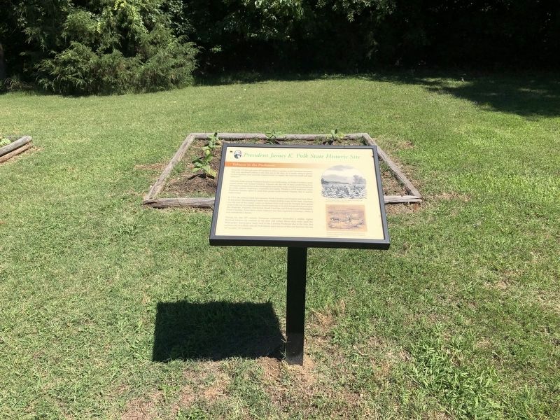 Tobacco in the Piedmont Marker. Click for full size. Tobacco in the Piedmont Marker image. Click for full size.