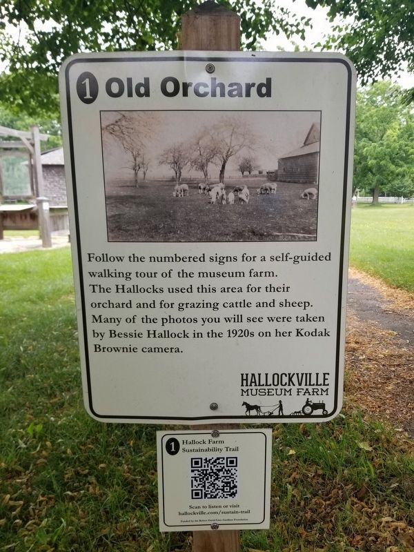Old Orchard Marker. Click for full size. Old Orchard Marker image. Click for full size.