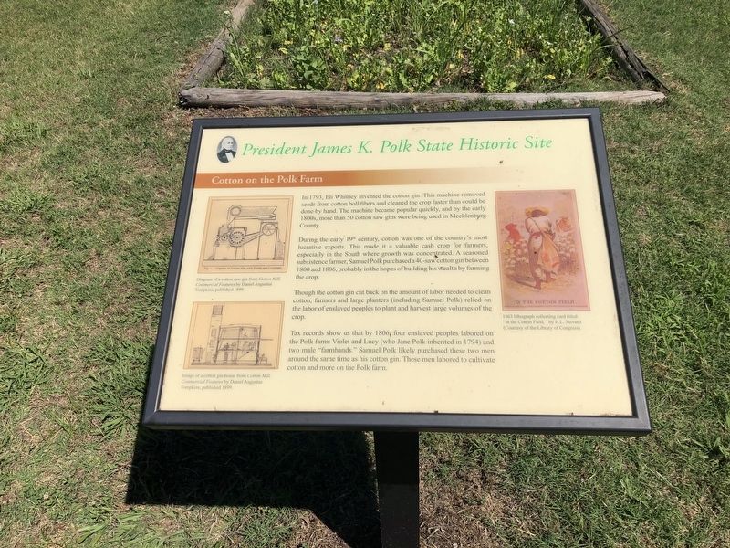 Cotton on the Polk Farm Marker image. Click for full size.