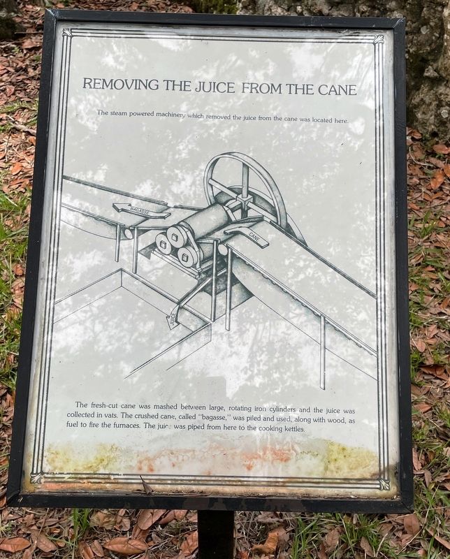 Removing the Juice from the Cane Marker image. Click for full size.