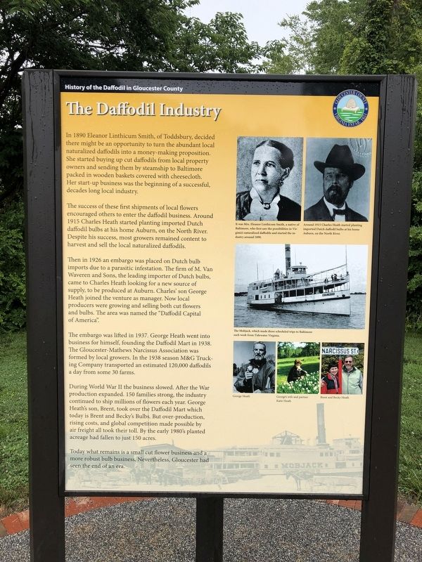 The Daffodil Industry Marker image. Click for full size.