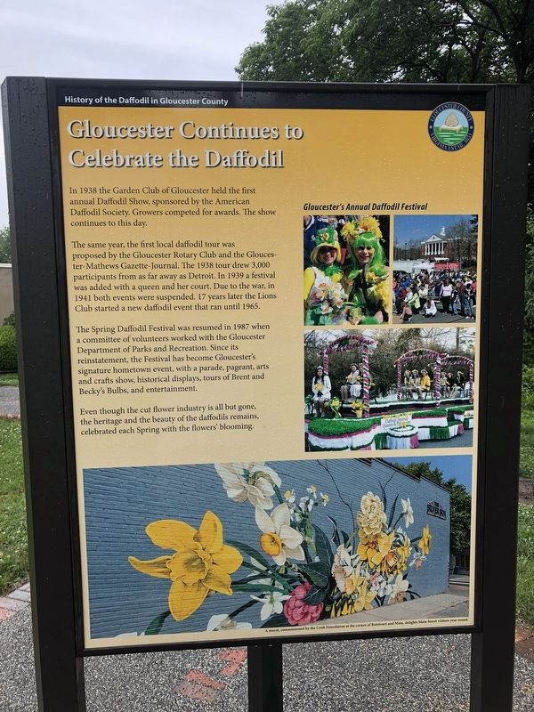 Gloucester Continues to Celebrate the Daffodil Marker image. Click for full size.