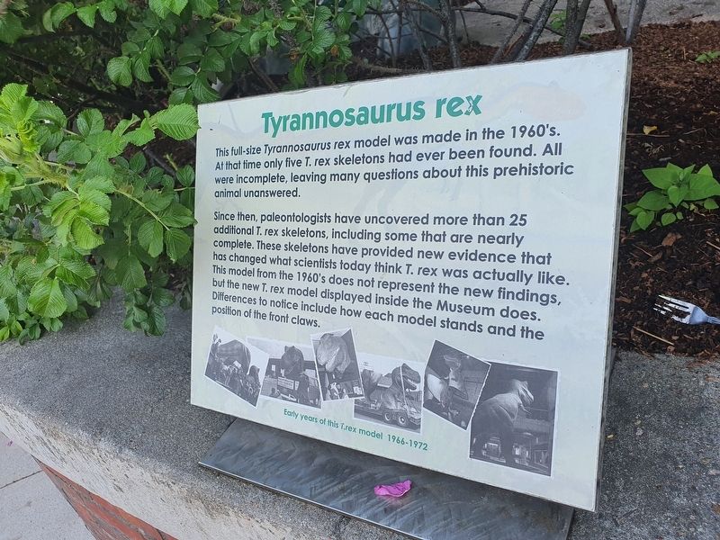 Tyrannosaurus rex Marker image. Click for full size.