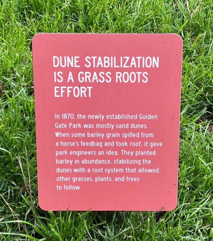 Dune Stabilization is a Grassroots Effort Marker image. Click for full size.