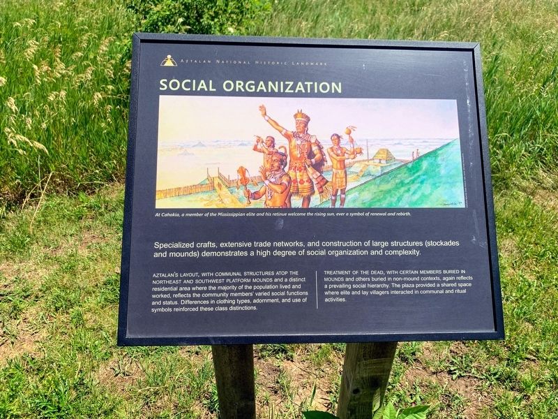 Social Organization Marker image. Click for full size.