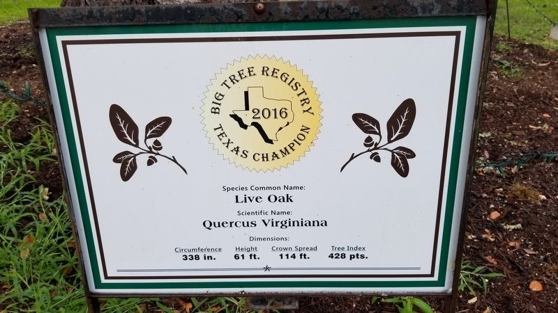 Columbus Oak Marker. Click for full size. Columbus Oak Marker image. Click for full size.