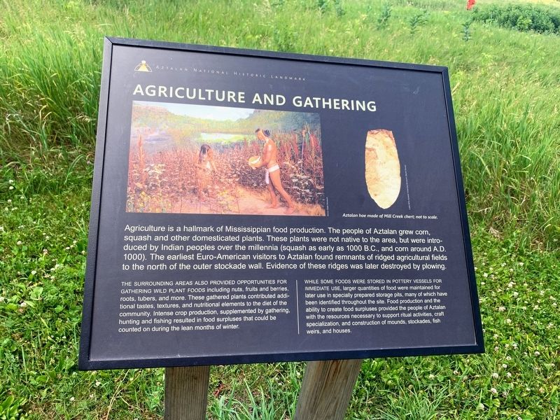 Agriculture and Gathering Marker image. Click for full size.