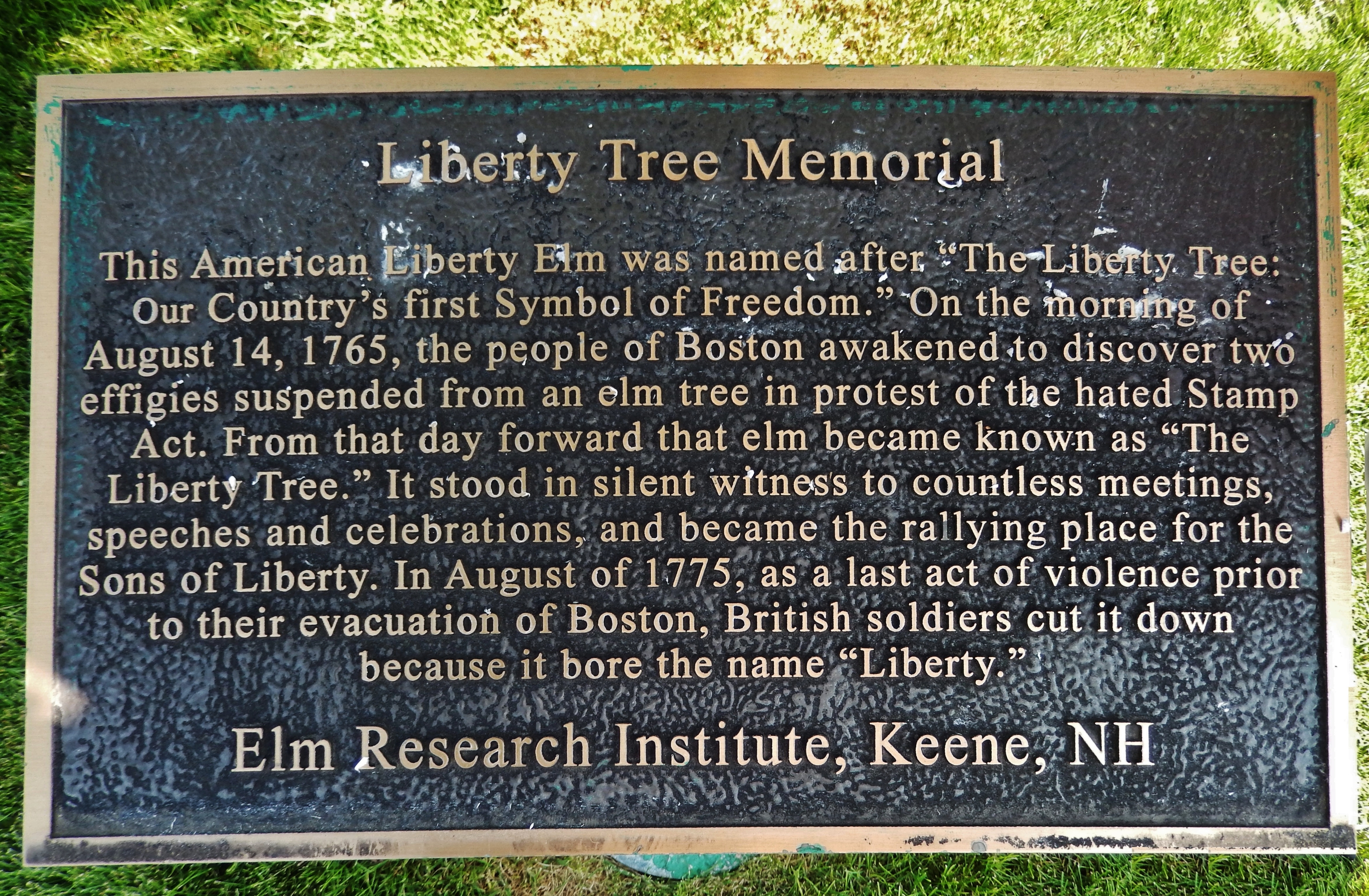 Liberty Tree Memorial