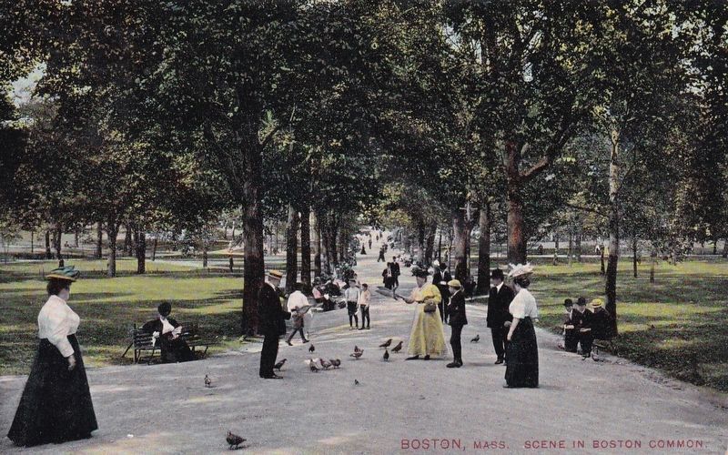 <i>Boston, Mass. Scene in Boston Common.</i>. Click for full size. <i>Boston, Mass. Scene in Boston Common.</i> image. Click for full size.