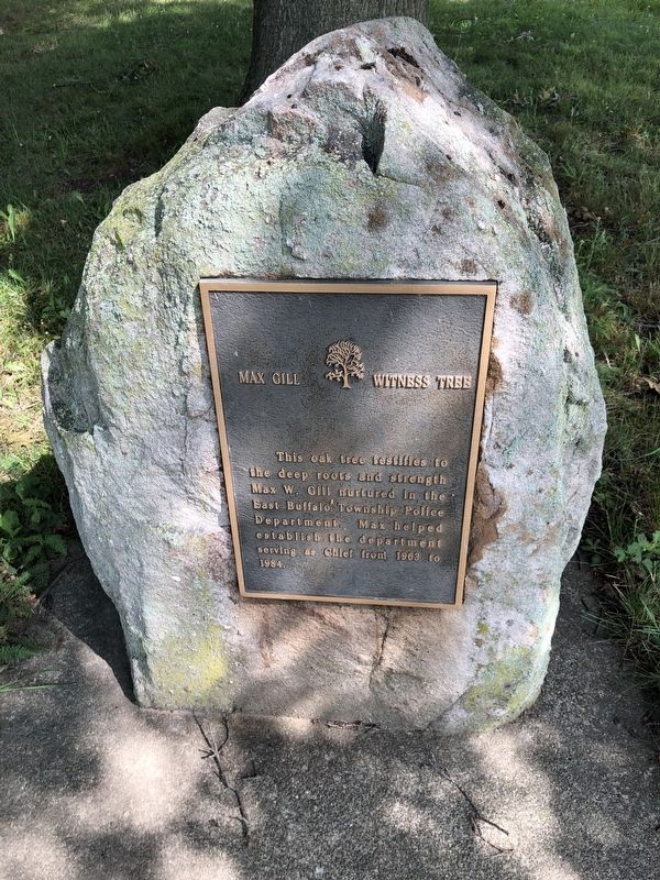 Max Gill Witness Tree Marker. Click for full size. Max Gill Witness Tree Marker image. Click for full size.