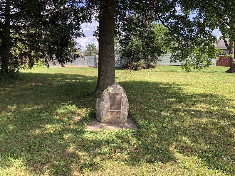 Max Gill Witness Tree Marker. Click for full size. Max Gill Witness Tree Marker image. Click for full size.