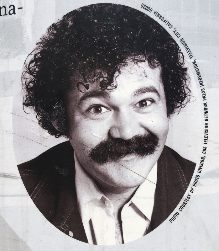 Avery Schreiber image. Click for full size.