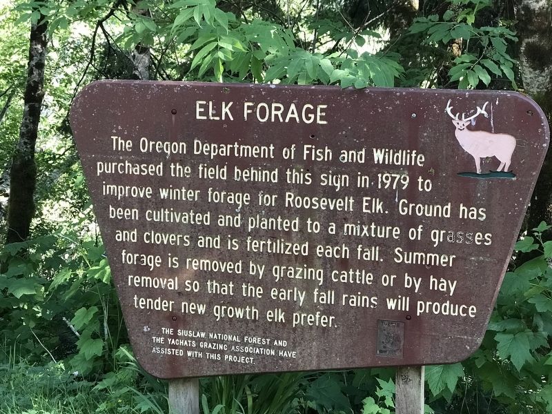 Elk Forage Marker image. Click for full size.