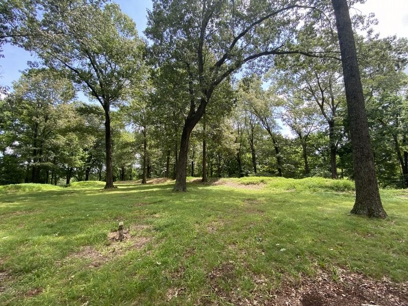 Lower Redoubt image. Click for full size.