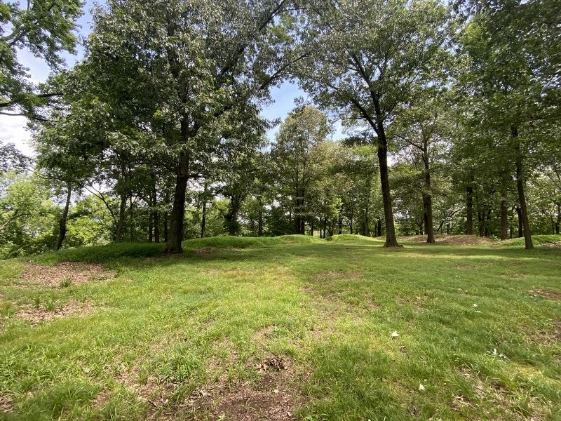 Lower Redoubt image. Click for full size.