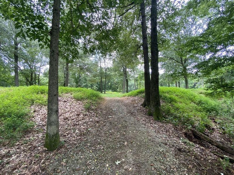 Lower Redoubt image. Click for full size.
