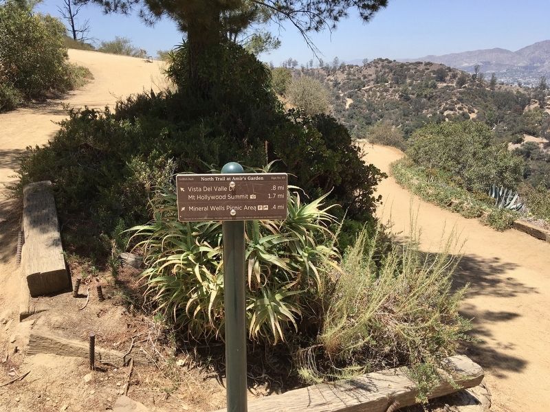 Hiking Trail / Fire Road. Click for full size. Hiking Trail / Fire Road image. Click for full size.