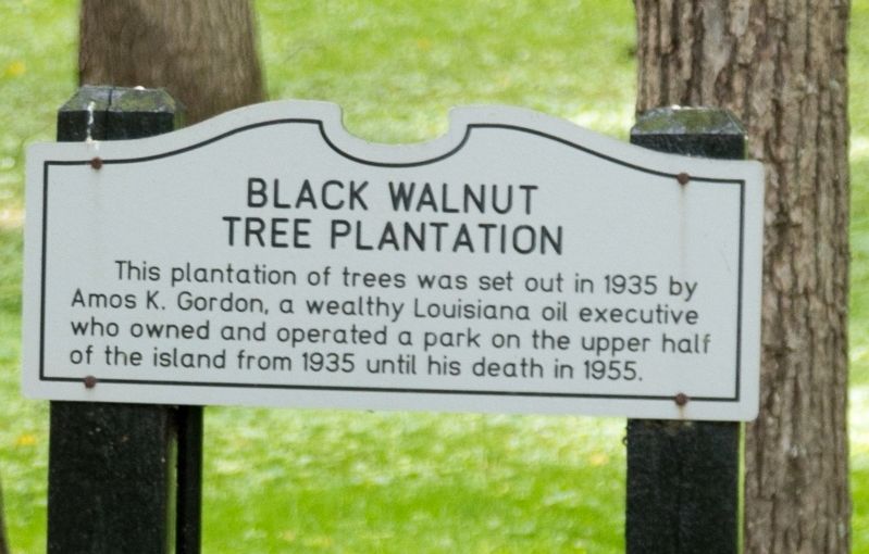 Black Walnut Tree Plantation Marker image. Click for full size.