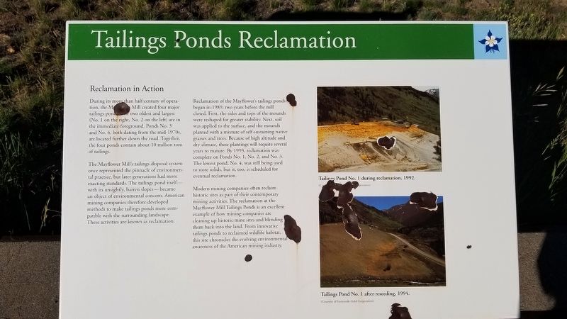 Tailings Ponds Reclamation Marker image. Click for full size.