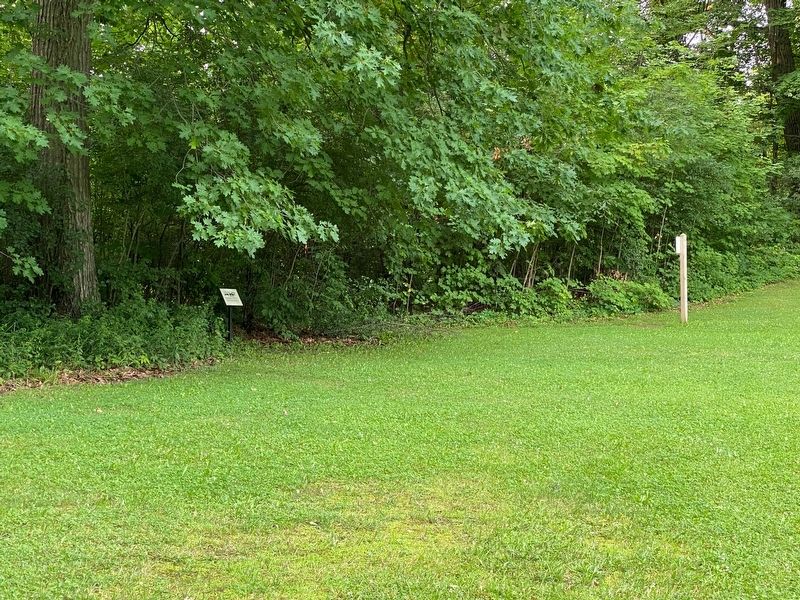 Near this location...The Vaughan Infirmary Marker image. Click for full size.