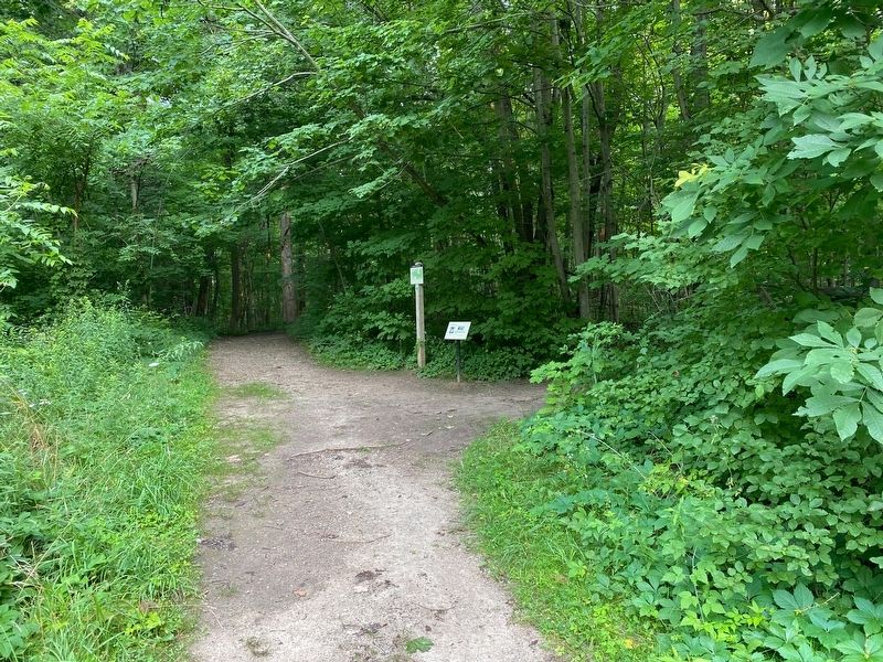 Near this location...The Water Tower Marker. Click for full size. Near this location...The Water Tower Marker image. Click for full size.