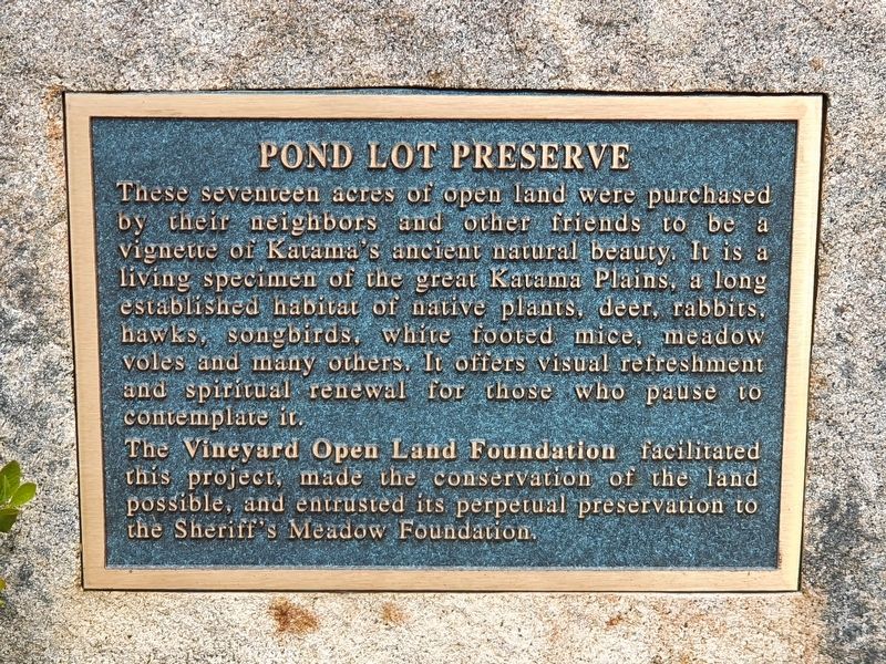 Pond Lot Preserve Marker. Click for full size. Pond Lot Preserve Marker image. Click for full size.