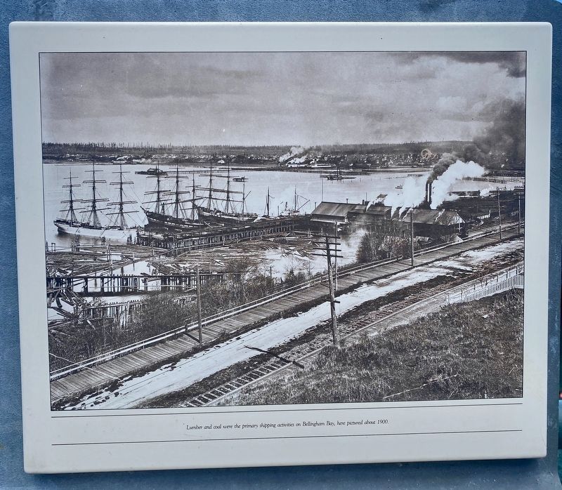 Early Bellingham Bay Marker <i>(upper panel)</i> image. Click for full size.