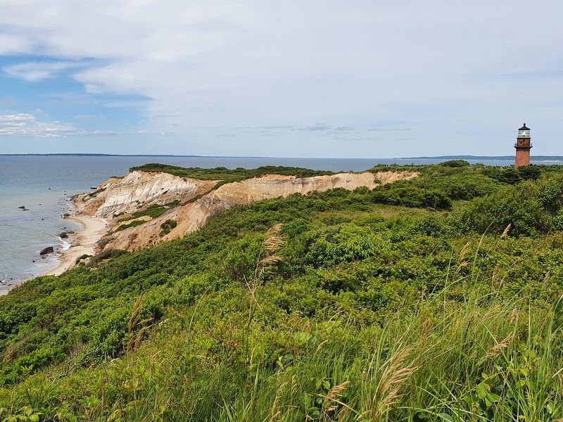 Gay Head Light and Cliffs image. Click for full size.