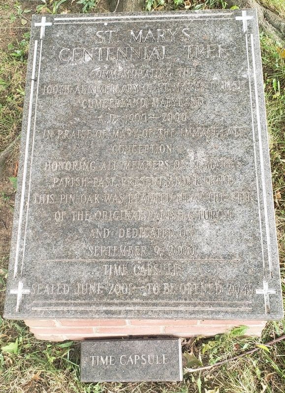 St. Mary's Centennial Tree Marker image. Click for full size.