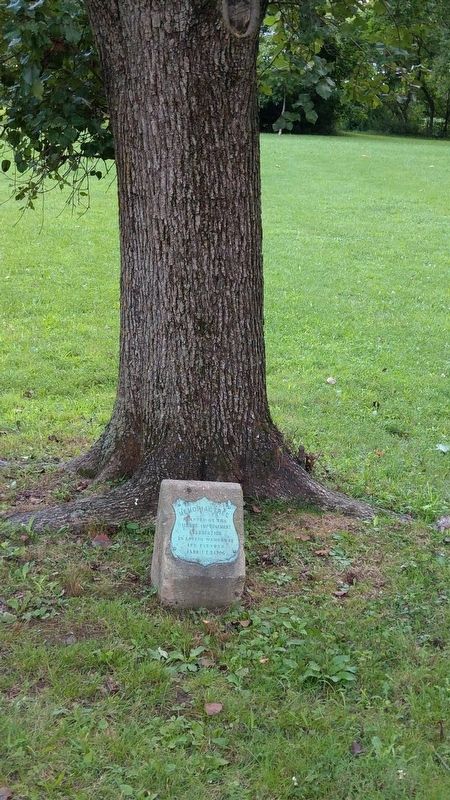 Memorial Tree Planted by the Village Improvement Association Marker image. Click for full size.