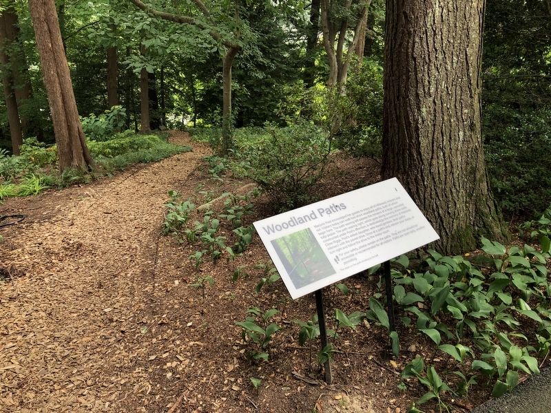 Woodland Paths Marker. Click for full size. Woodland Paths Marker image. Click for full size.