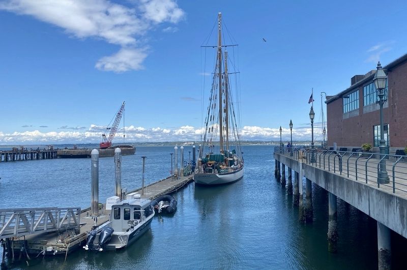 Schooner <i>Zodiac</i> from the rear, with the Bellingham Cruise Terminal on the right image. Click for full size.