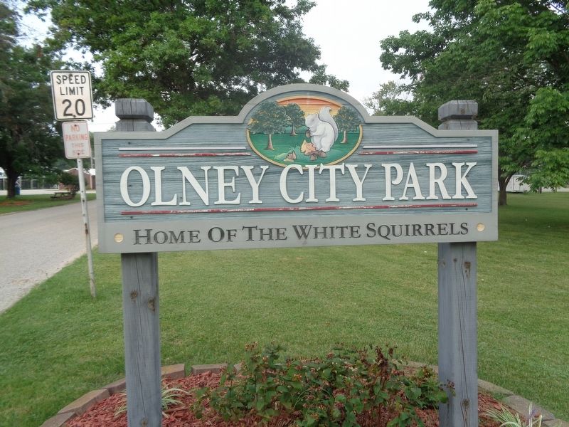 Olney City Park image. Click for full size.