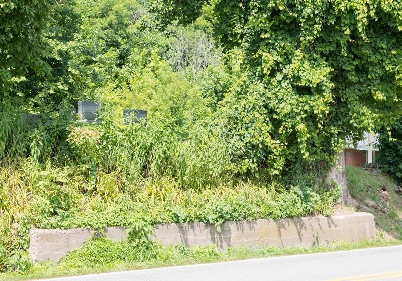 John L. Chapman Family Cemetery image. Click for full size.