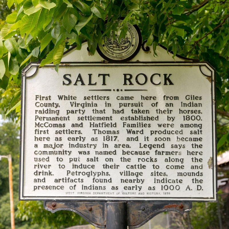 Salt Rock Marker image. Click for full size.
